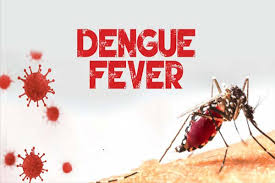 Thumbnail for Dengue Fever Burden